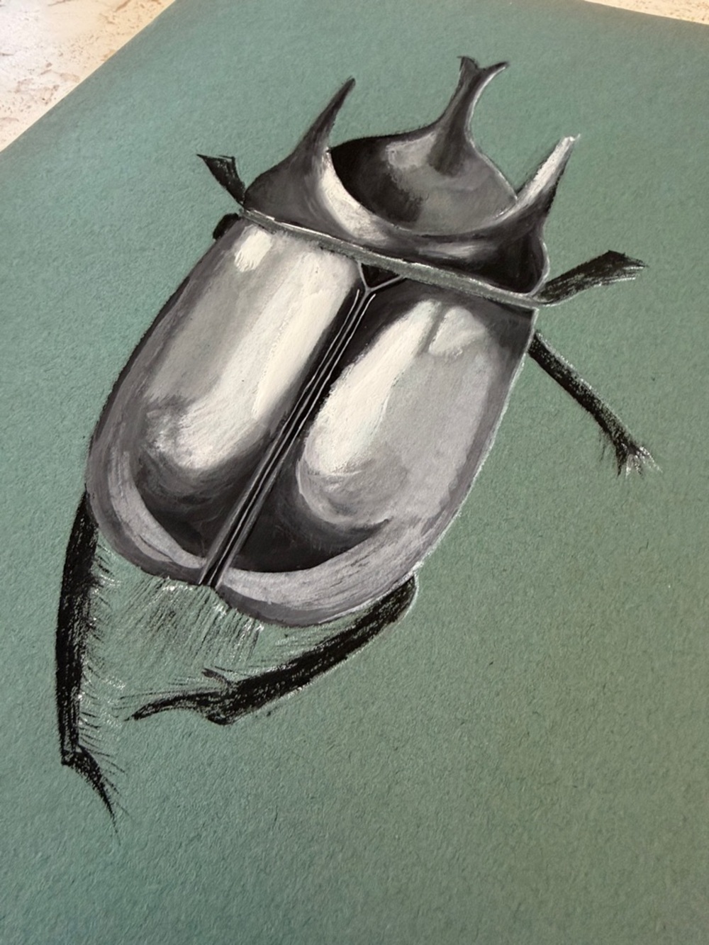 Original Signed Beetle Painting Jean Dryden Vintage Entomology Art - Picture 9 of 10